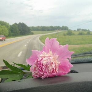 Meet your Posher, Bobbie